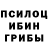 Псилоцибиновые грибы GOLDEN TEACHER Jyotsnamayee Karna