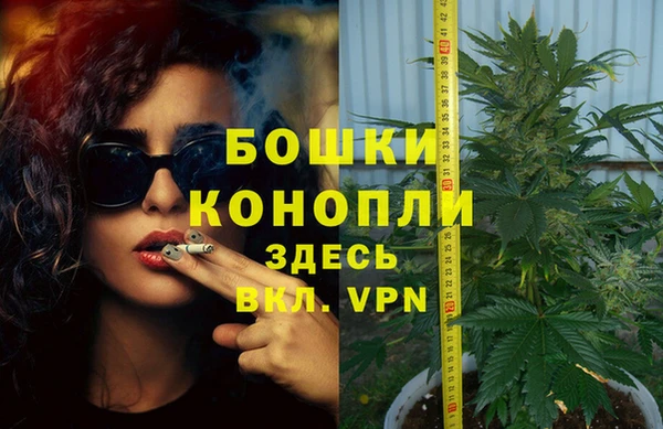 гашик Коряжма