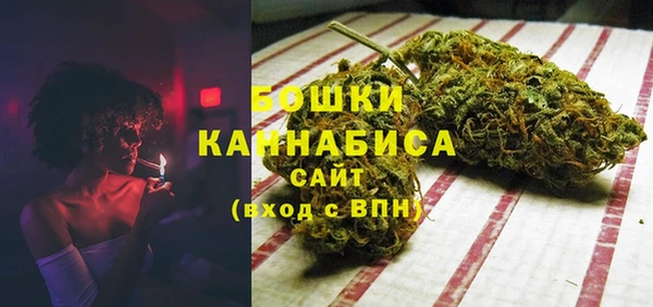 гашик Коряжма