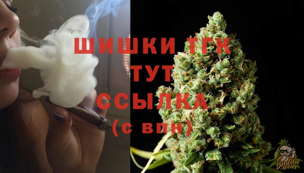 СК Костерёво