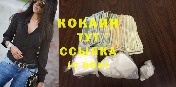 гашик Коряжма