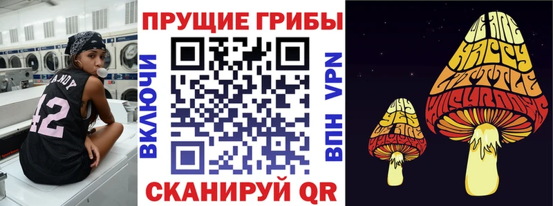 Псилоцибиновые грибы Cubensis даркнет сайт Саранск