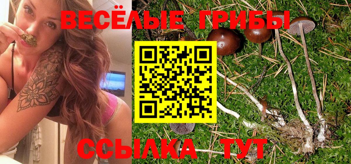 Псилоцибиновые грибы Magic Shrooms Саранск