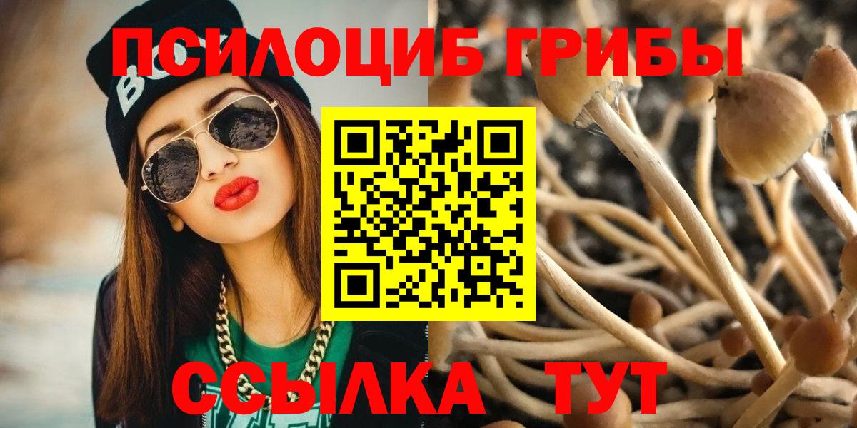 Саранск  Галлюциногенные грибы MAGIC MUSHROOMS  Галлюциногенные грибы GOLDEN TEACHER  Вход с VPN 