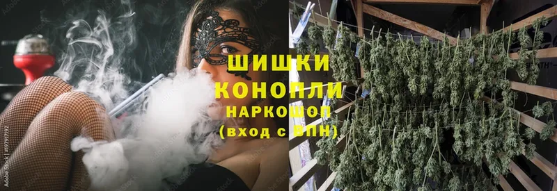 Каннабис OG Kush  Саранск 